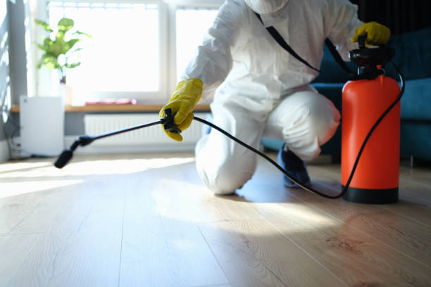 Best Flea Control Services  in Garrison, MD